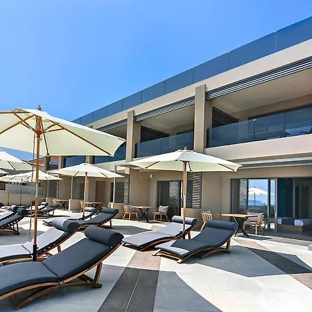 Lilium Luxury